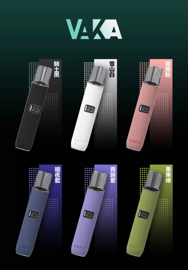 VAKA一代皮革主機