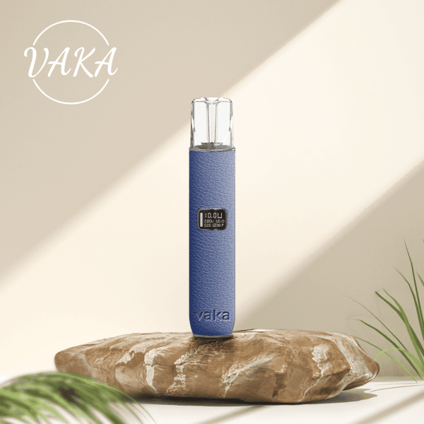 VAKA一代皮革主機