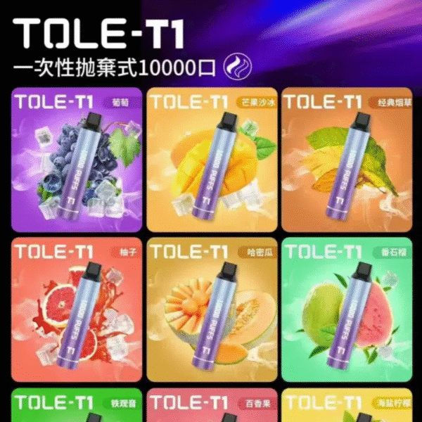 TOLE  T1一次性拋棄式10000口